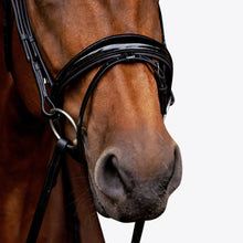 Load image into Gallery viewer, Aurelie Leather Bridle (Hanoverian) (No reins)