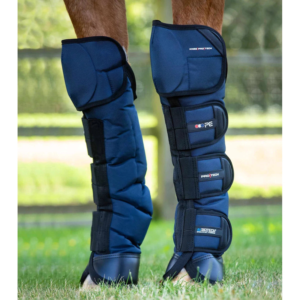 Ballistic Knee Pro Tech Horse Travel Boots