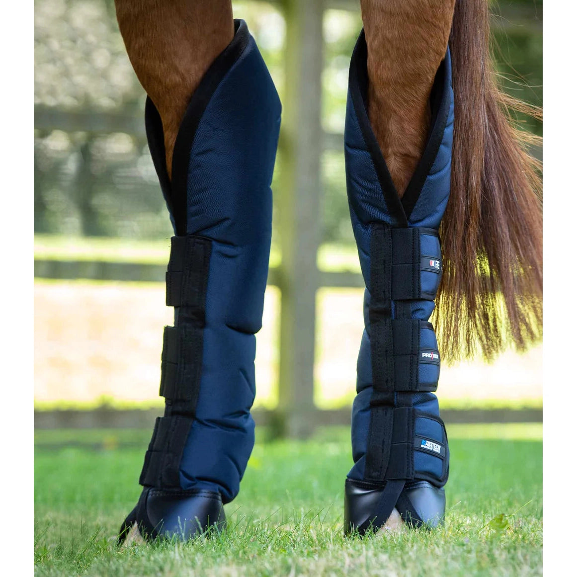 Ballistic Knee Pro Tech Horse Travel Boots