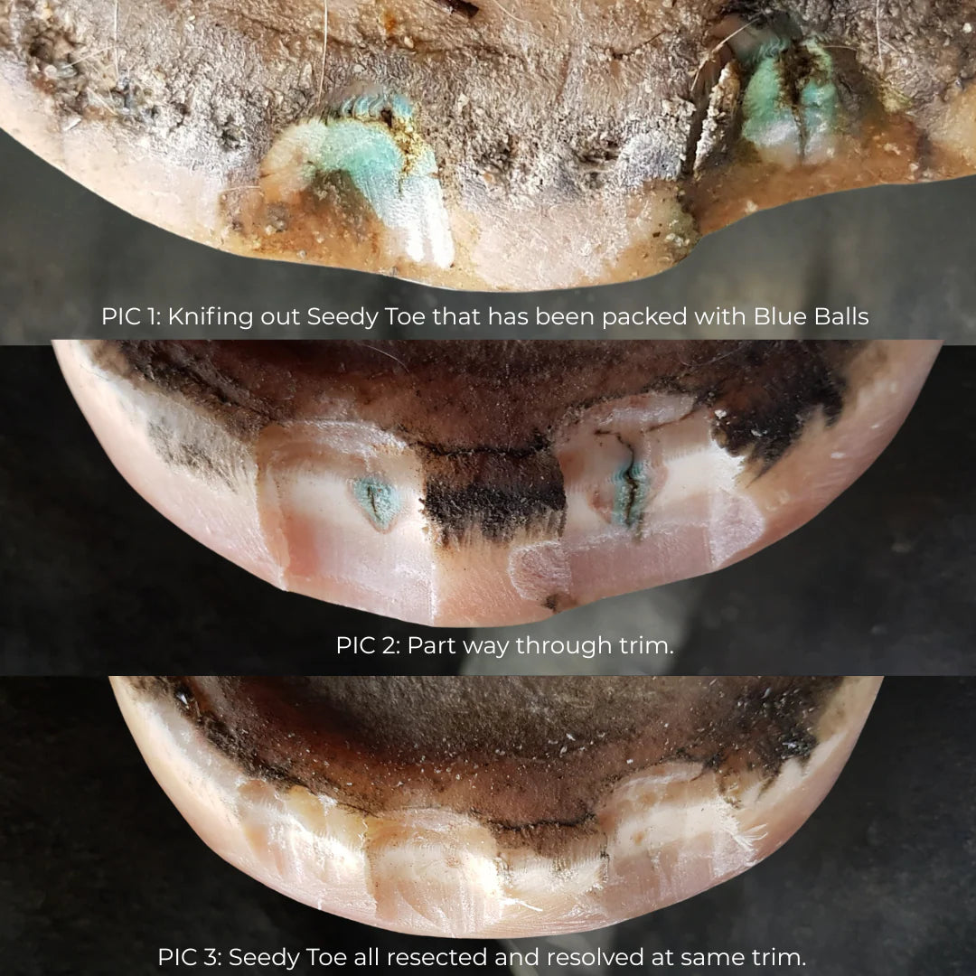 Beeswax Blue Balls®