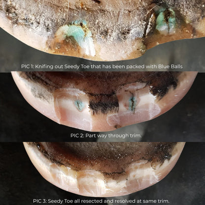 Beeswax Blue Balls®