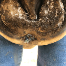 Load image into Gallery viewer, Beeswax Blue Balls®