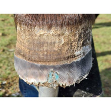 Load image into Gallery viewer, Beeswax Blue Balls®