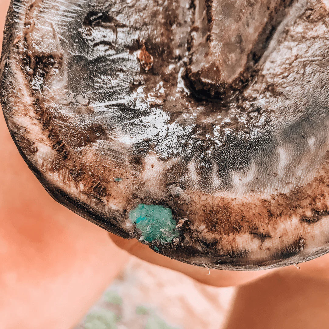 Beeswax Blue Balls®