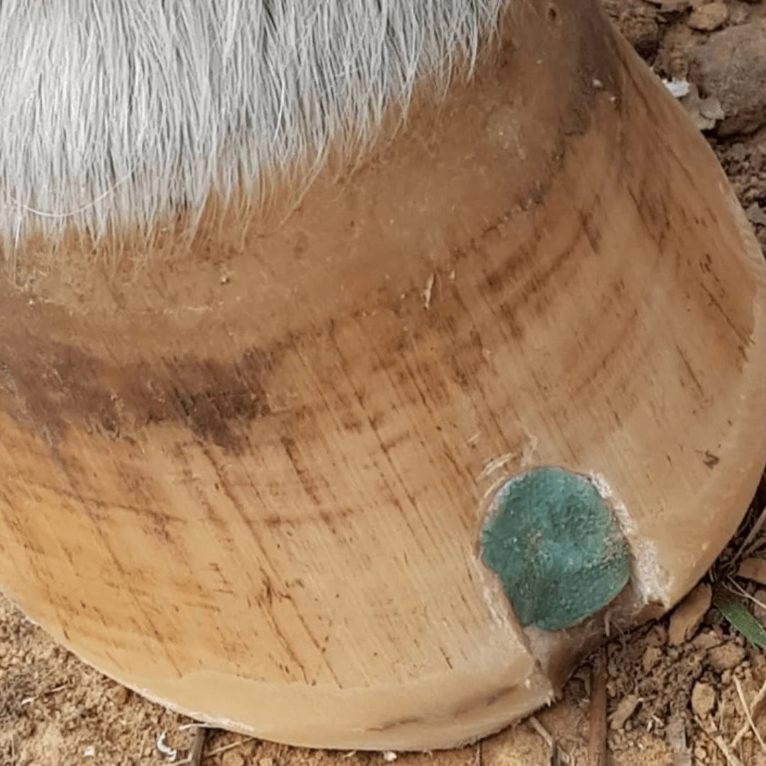 Beeswax Blue Balls®