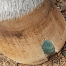 Load image into Gallery viewer, Beeswax Blue Balls®