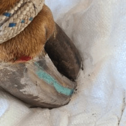 Beeswax Blue Balls®