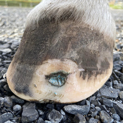 Beeswax Blue Balls®