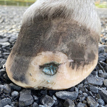 Load image into Gallery viewer, Beeswax Blue Balls®