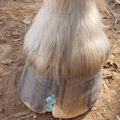 Beeswax Blue Balls®