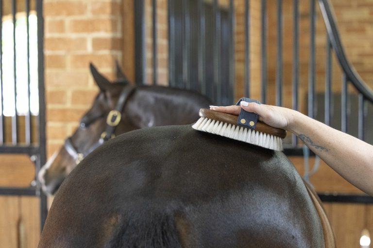 Indulge Lambswool Brush