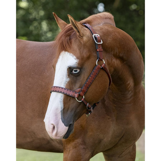 Buck Stitch Leather Halter