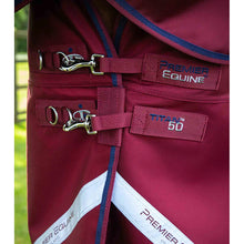 Load image into Gallery viewer, Titan 50g Turnout Rug with Classic Neck Cover