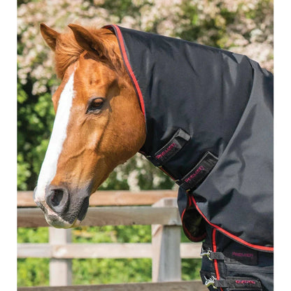 Buster 250g Turnout Rug with Classic Neck Cover