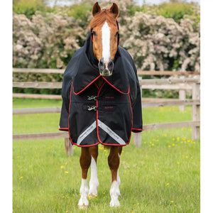 Buster 250g Turnout Rug with Classic Neck Cover