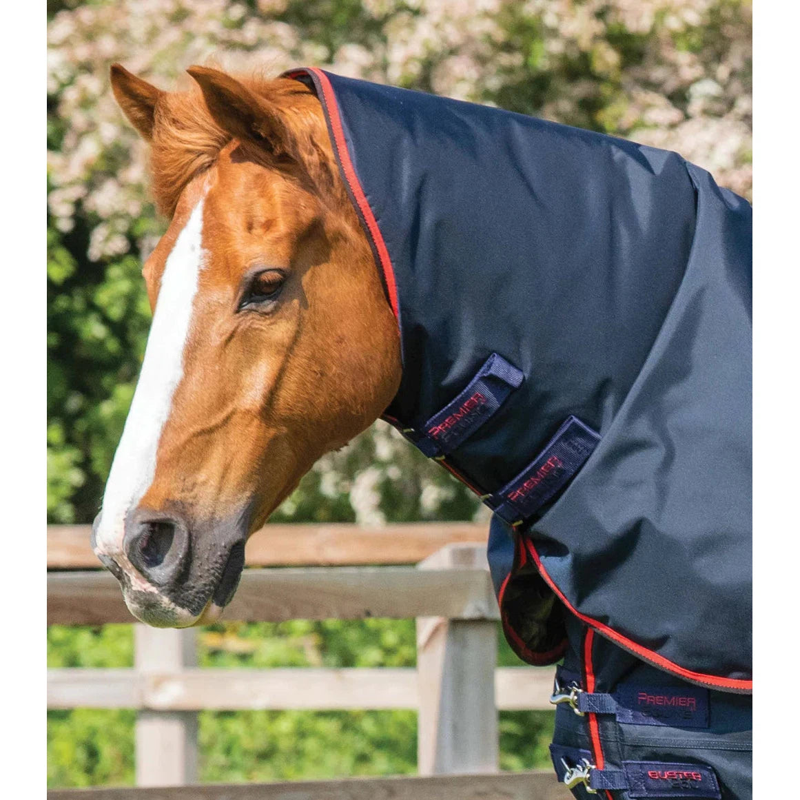 Buster 250g Turnout Rug with Classic Neck Cover