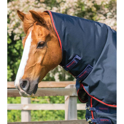Buster 250g Turnout Rug with Classic Neck Cover
