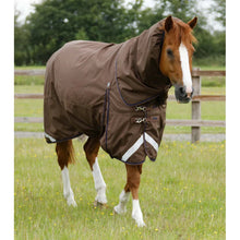 Load image into Gallery viewer, Buster 400g Turnout Rug with Snug-fit Neck Cover