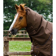 Load image into Gallery viewer, Buster 400g Turnout Rug with Snug-fit Neck Cover