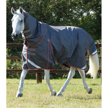 Load image into Gallery viewer, Buster 50g Turnout Rug with Snug-Fit Neck Cover