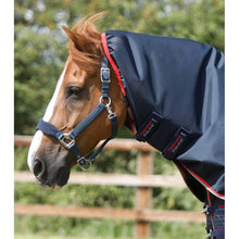 Load image into Gallery viewer, Buster 50g Turnout Rug with Snug-Fit Neck Cover