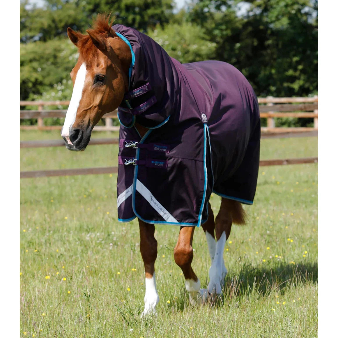 Buster Storm 100g Combo Turnout Rug with Snug-Fit Neck