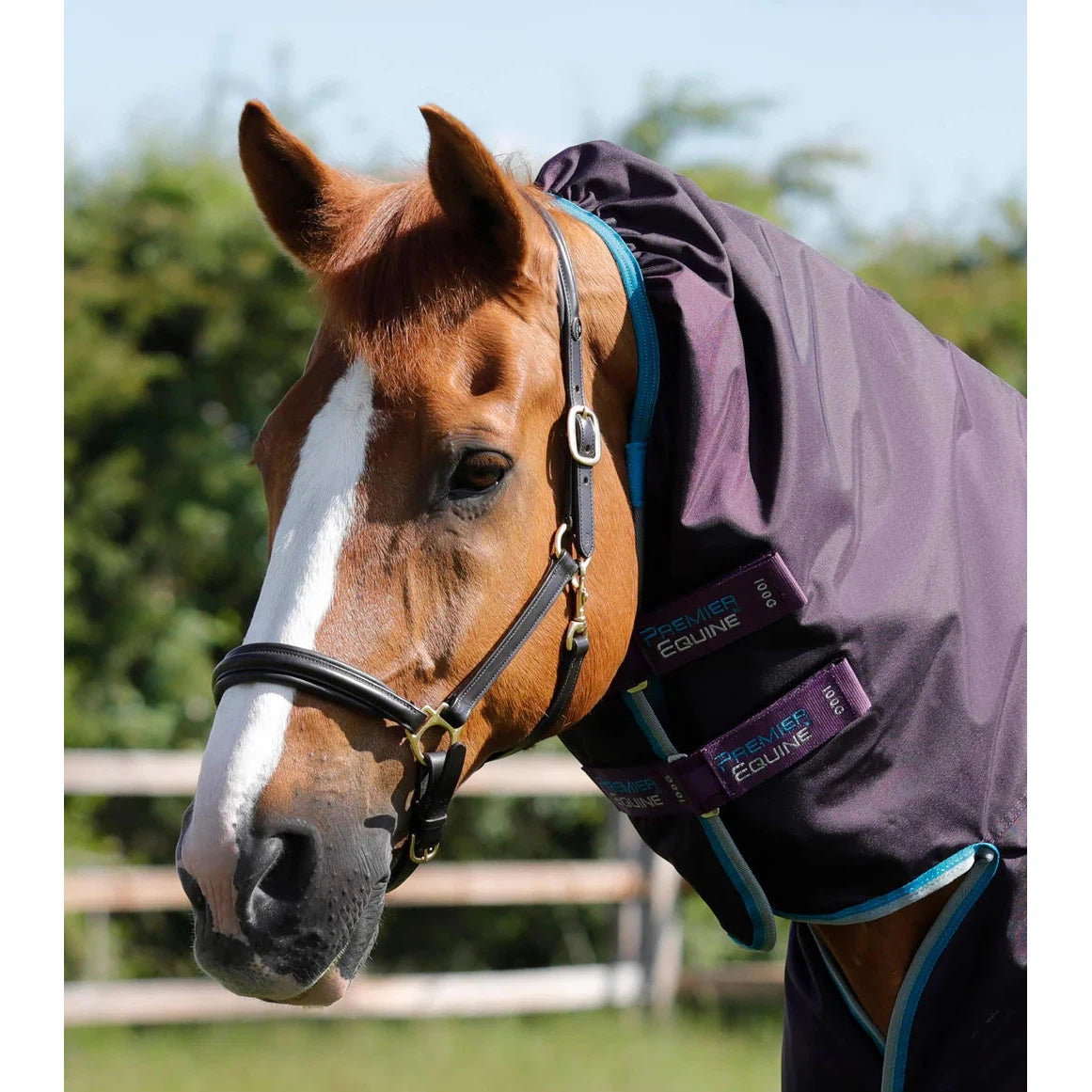 Buster Storm 100g Combo Turnout Rug with Snug-Fit Neck