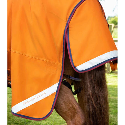 Buster Storm 200g Combo Turnout Rug with Classic Neck