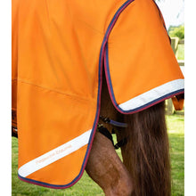 Load image into Gallery viewer, Buster Storm 200g Combo Turnout Rug with Classic Neck
