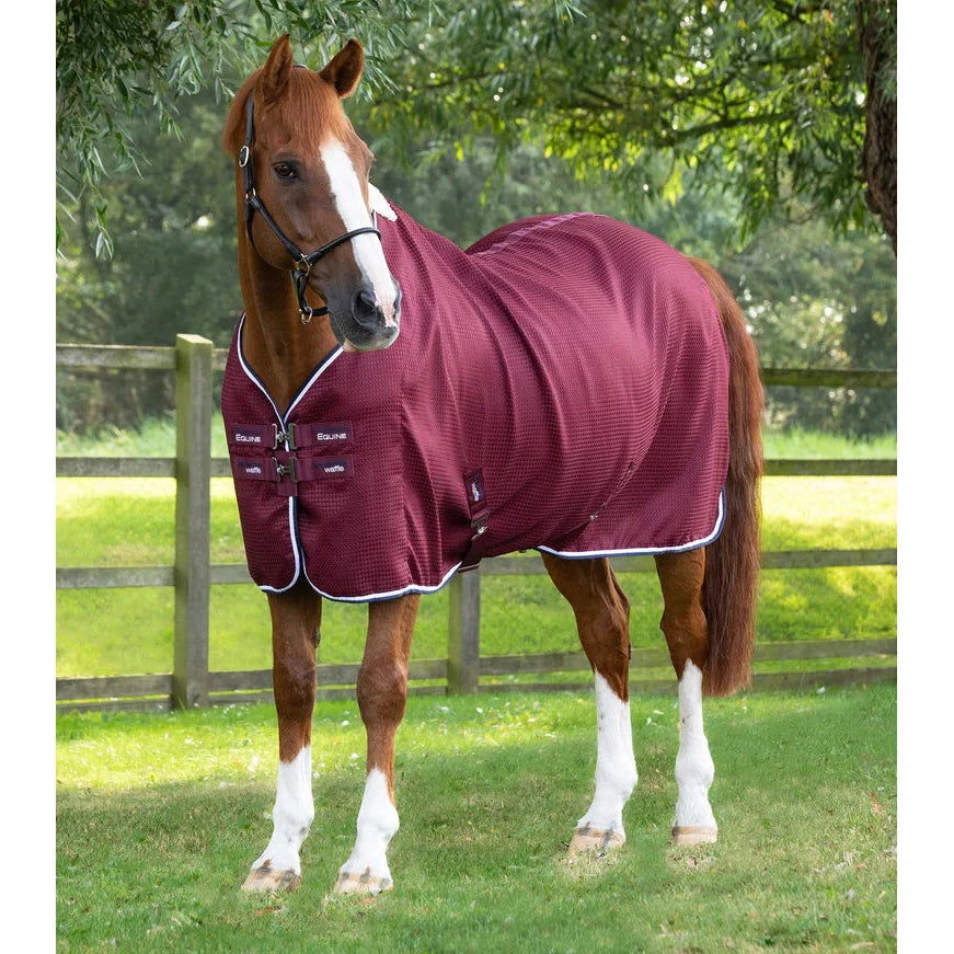 Buster Waffle Horse Cooler Rug