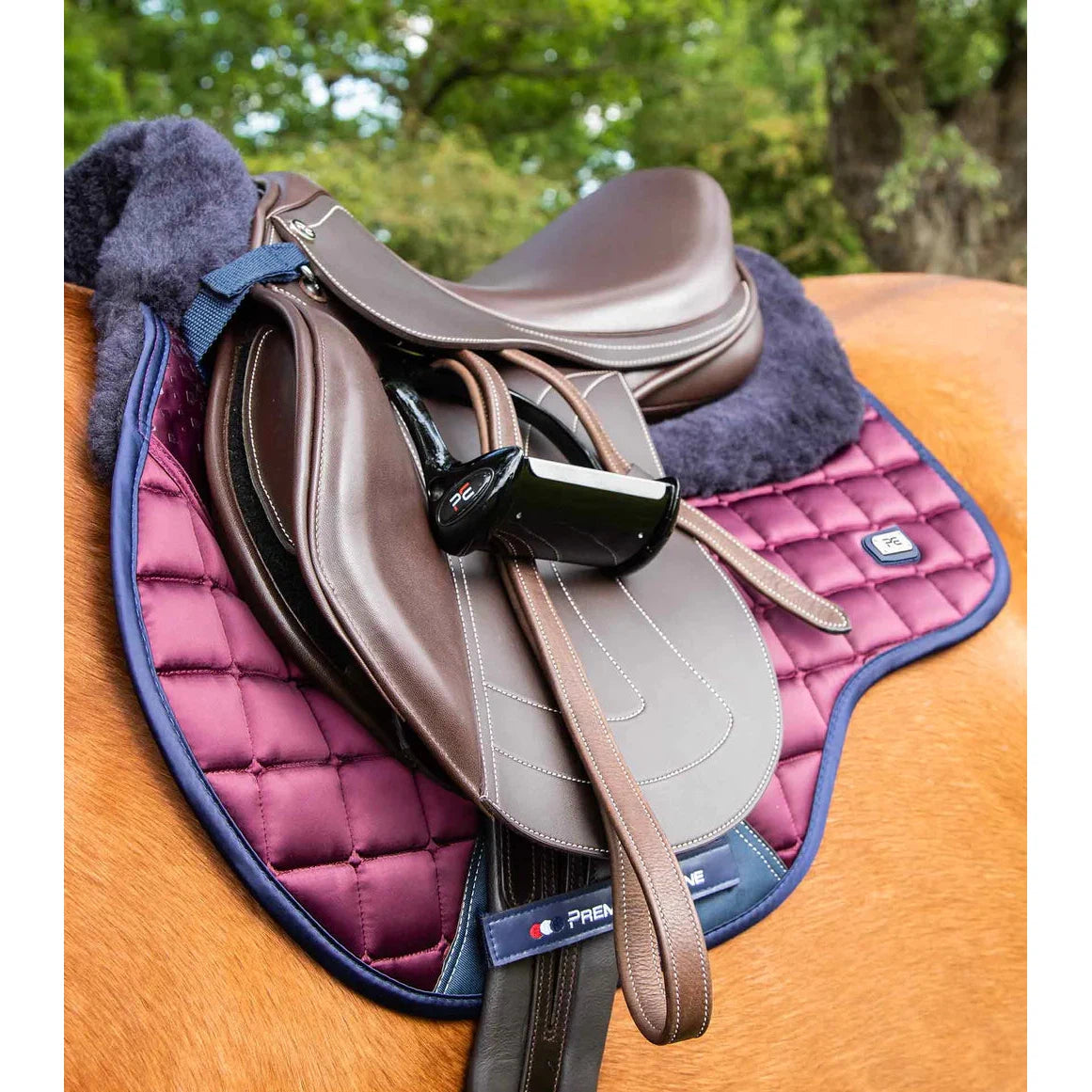 Capella Close Contact Merino Wool GP/Jump Square