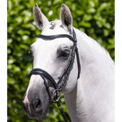 Cassano Snaffle Bridle (No reins)