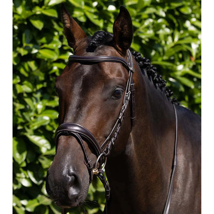 Cassano Snaffle Bridle (No reins)