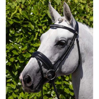 Castello Anatomical Bridle (No reins)