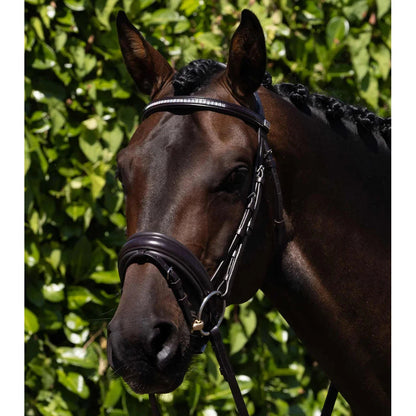 Castello Anatomical Bridle (No reins)