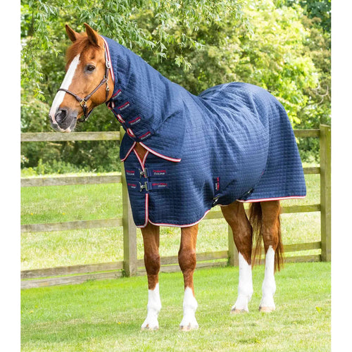 Combo Dry-Tech Horse Cooler Rug