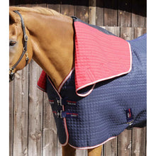 Load image into Gallery viewer, Combo Dry-Tech Horse Cooler Rug