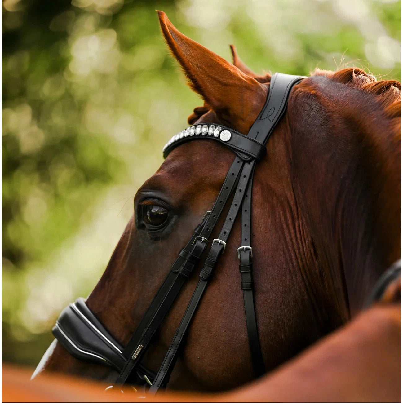 Diva Bridle (Cavesson) (No reins)