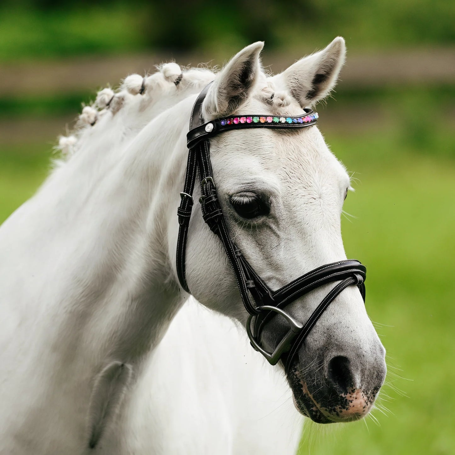 Rainbow Bridle (Convertible) (No reins)