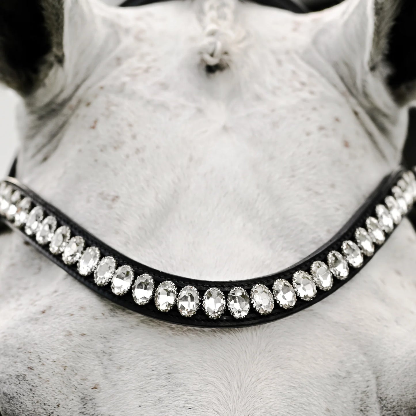 Diva Bridle (Cavesson) (No reins)