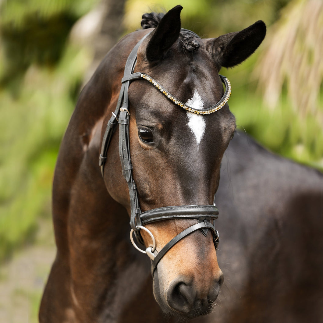 Megan Convertible Leather Bridle (No reins)