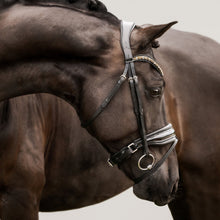 Load image into Gallery viewer, Ariana Bridle (Hanoverian)
