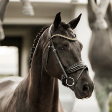 Load image into Gallery viewer, Ariana Bridle (Hanoverian)