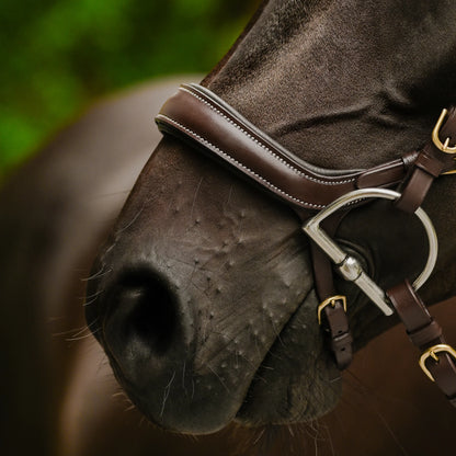 Dallas Bridle (Anatomic) (No reins)