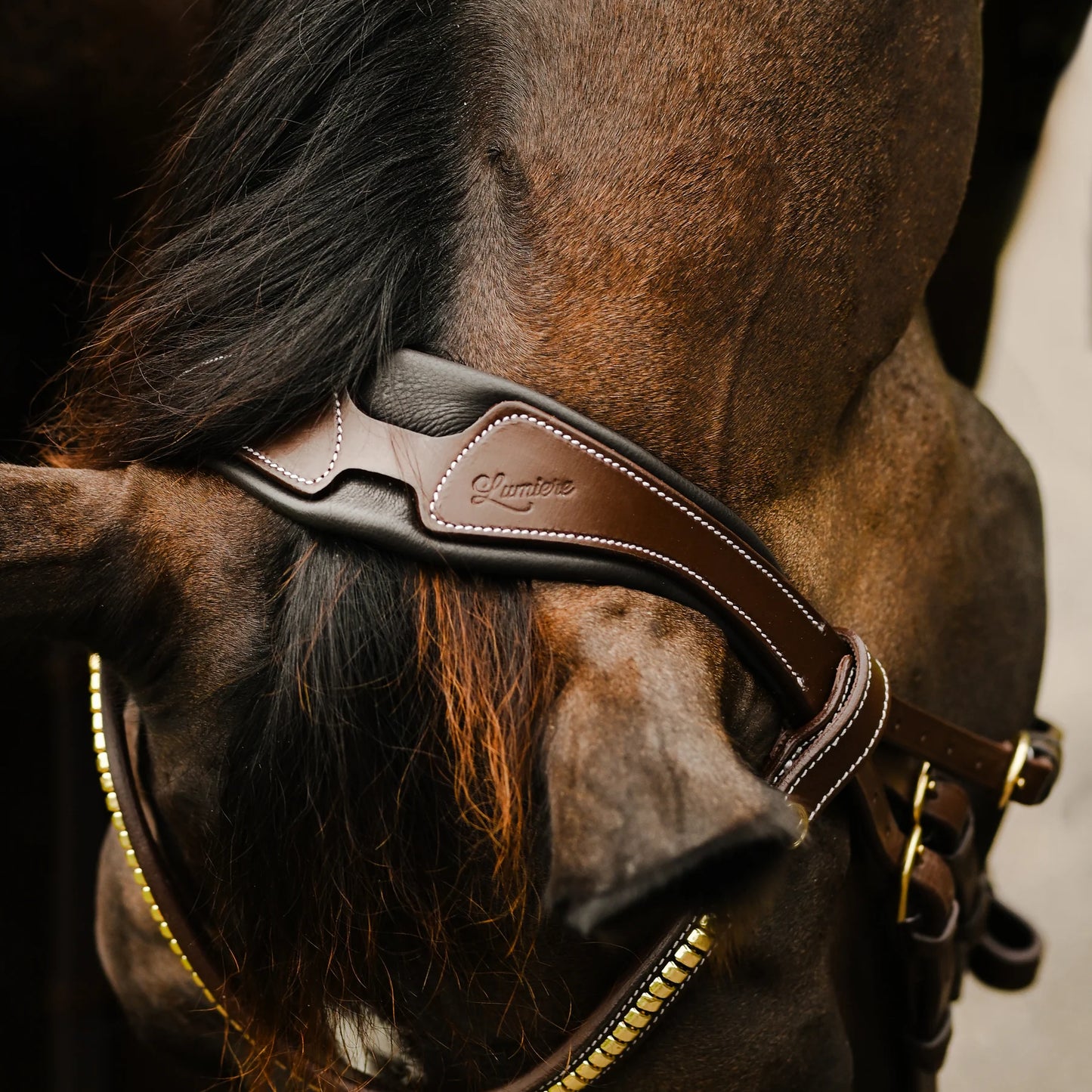 Dallas Bridle (Anatomic) (No reins)