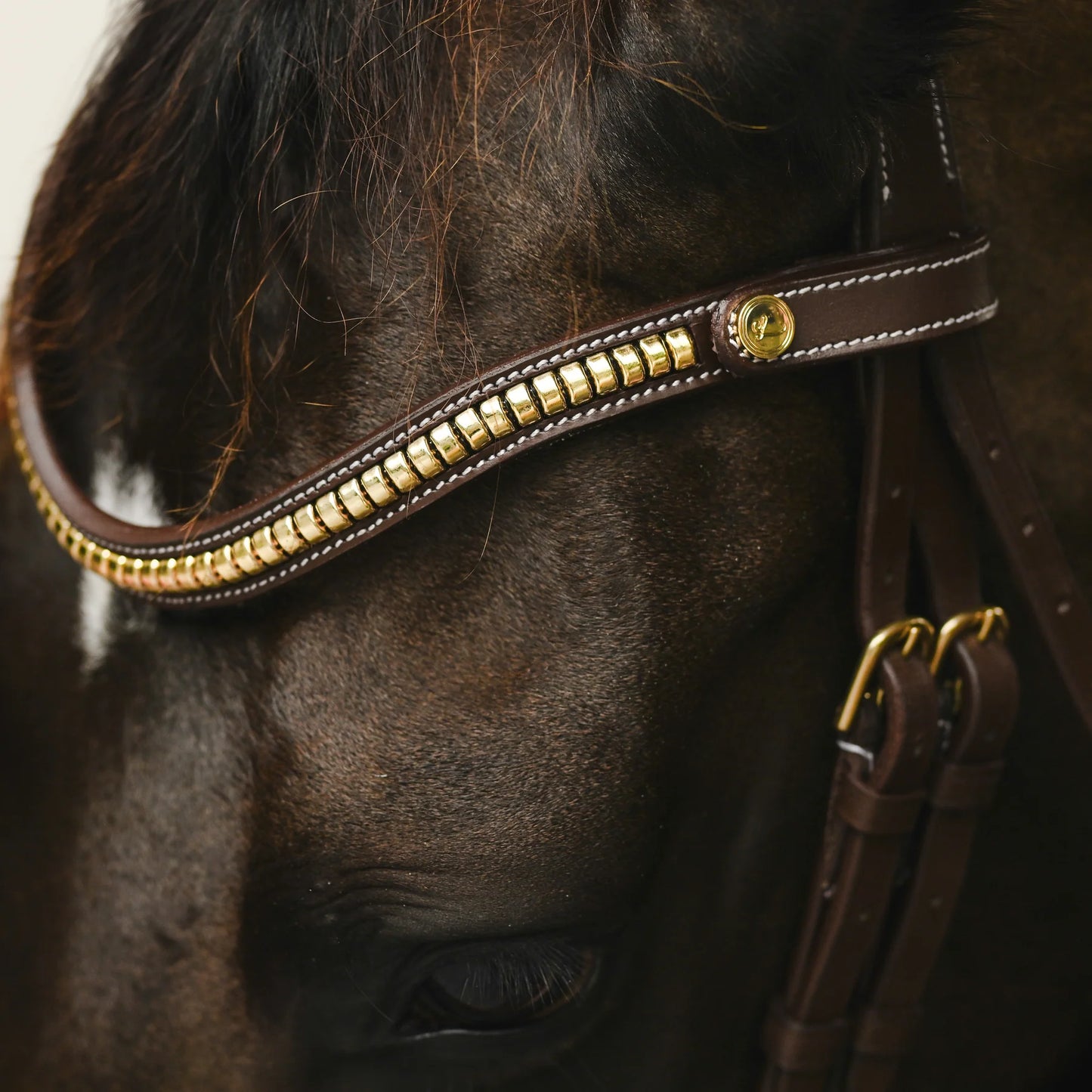 Dallas Bridle (Anatomic) (No reins)
