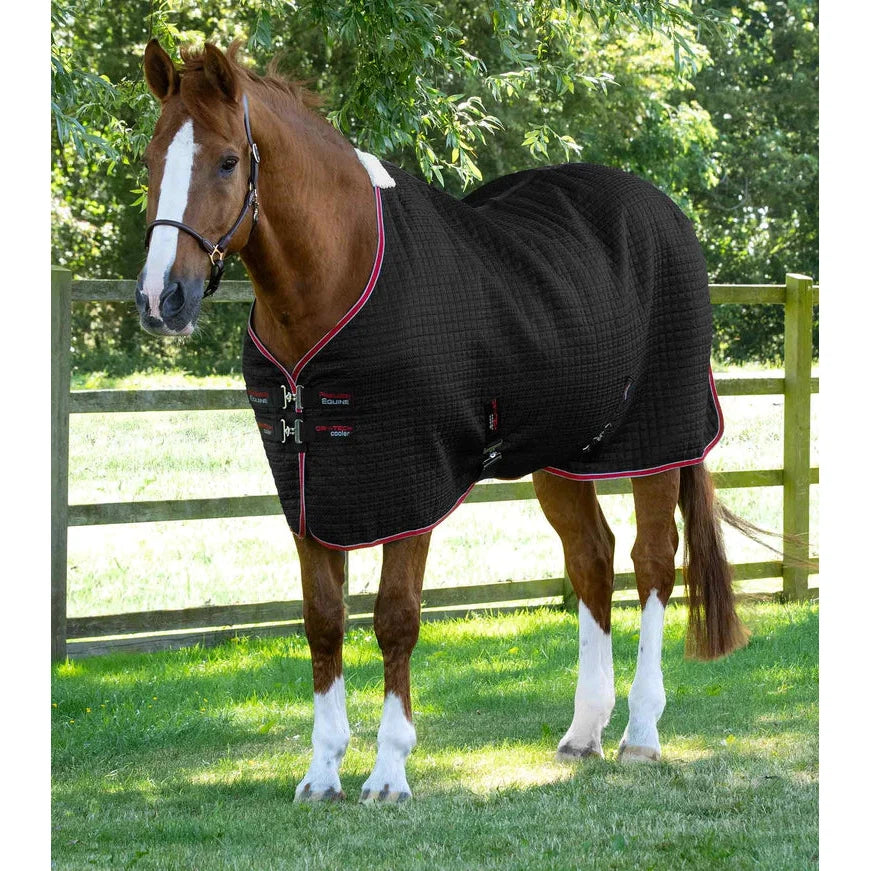 Dry-Tech Horse Cooler Rug
