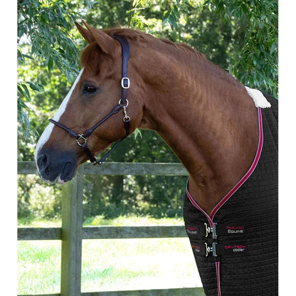 Dry-Tech Horse Cooler Rug