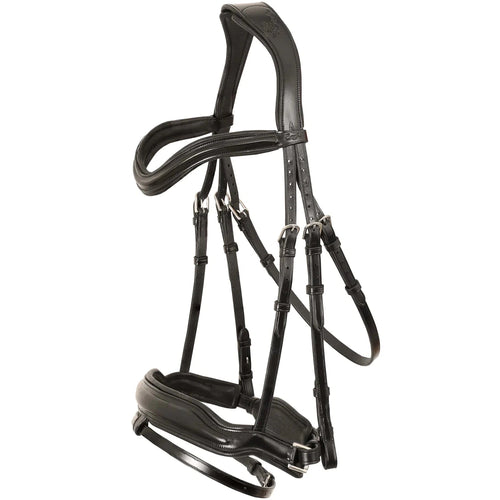 Leo Classic Hanoverian Dressage Bridle