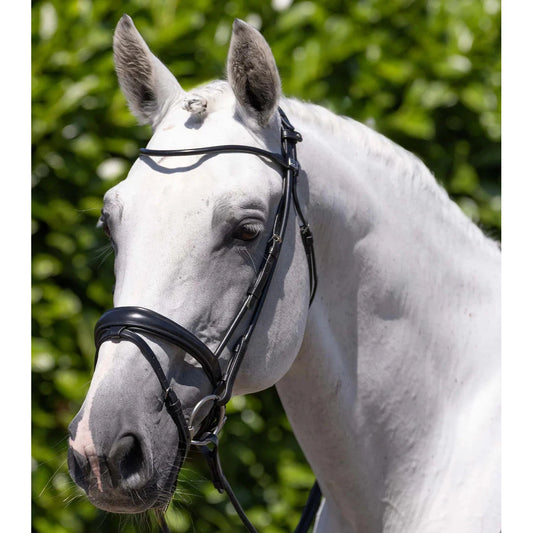 Finetti Rolled Leather Snaffle Bridle (No reins)